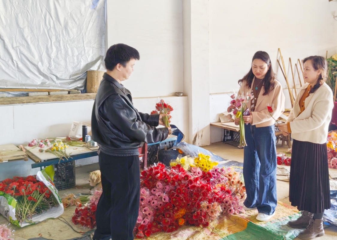 訪企拓崗 園林園藝學(xué)院赴湖北需之生物科技開發(fā)有限公司開展企業(yè)調(diào)研與設(shè)備優(yōu)化探討
